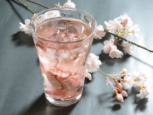 Why do not you drink cherry blossoms in Shinjuku Hatago?
