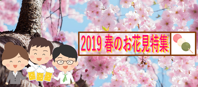 19 新宿から行ける都心のお花見スポット 新宿のホテルなら新宿駅西口徒歩3分のビジネスホテル かどやホテル