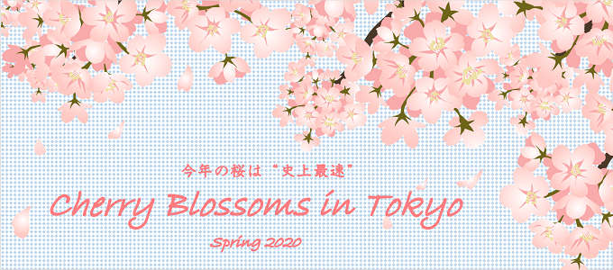 今年も桜の季節になりました♪